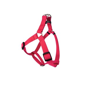 SZELKI TAŚMA REGULOWANE 20mm/50-80cm CZERWONE