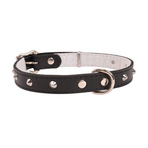 OBROŻA SKÓRZANA ĆWIEK 22mm/53cm CZARNA