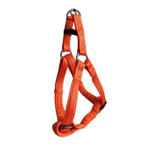 CROCI SZELKI TAŚMA ODBLASKOWE 65-80cm/25mm POMARAŃ